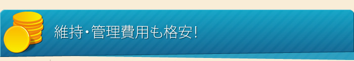 維持管理費用も格安